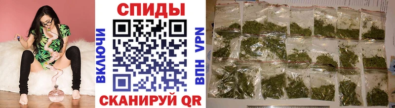 блэк спрут   Цоци-Юрт  Бутират жидкий экстази 