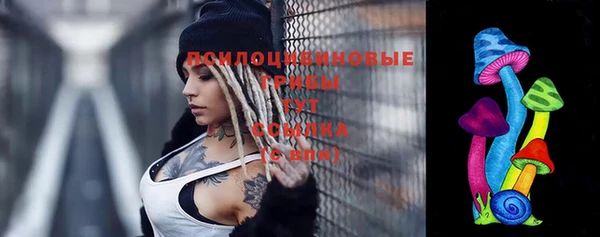 apvp Алексин