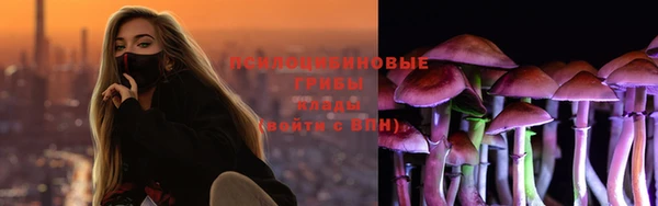 apvp Алексин