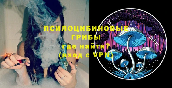 apvp Алексин
