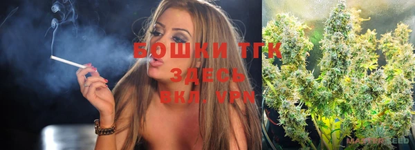 apvp Алексин