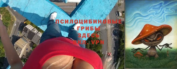 apvp Алексин